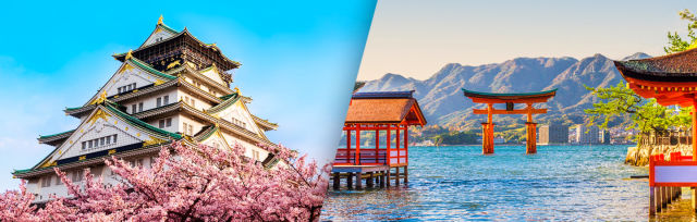 Tour Del Giappone Da Tokyo a Osaka Con Buono Sconto!