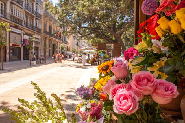  Low Cost!  Malaga Volo+Hotel Da Soli 85€!! 