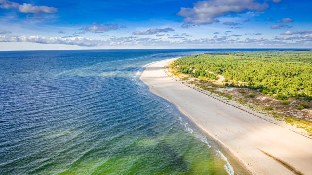 ️ Vacanza Gratis In Polonia? Sì, Ma Pulendo La Spiaggia!