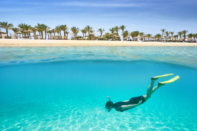 Offerta Speciale Logitravel Per Natale e Capodanno  Sconti Fino a 300€!
