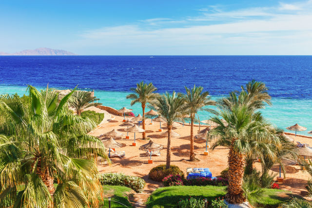 Sharm All Inclusive e Sul Mare  Da Prenotare Oggi! ️